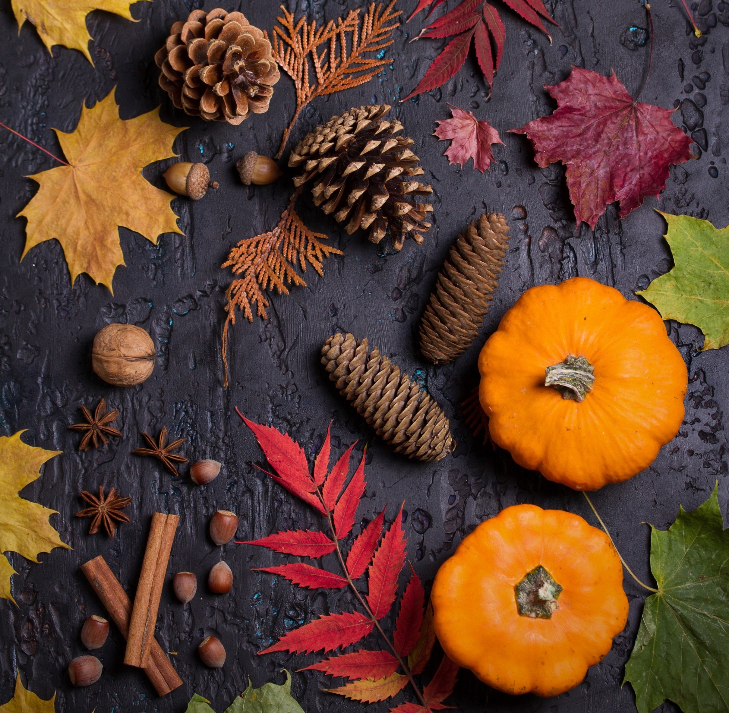 Autumn leaves with miniature pumpkins