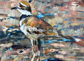 Painting of a killdeer plover using thick, broad brushstrokes by artist Laura Green.