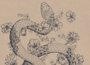 A drawing of a snake with flowers and chollas cactus bark by artist Hilary Dufour.