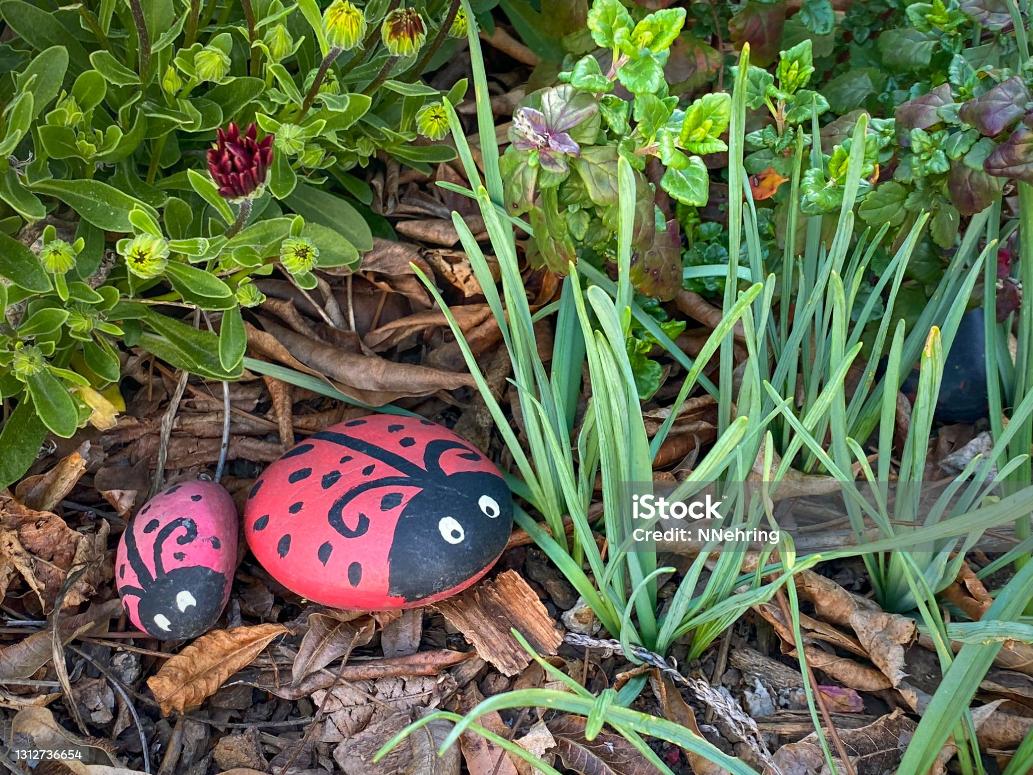 painted ladybug rocks