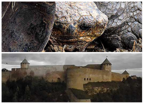 Photographs of a tortoise and a castle by artists Javier Alonso and Kalhu Kotka.