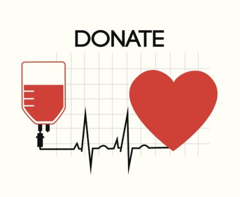 Drawing of a bag of blood next to a heart, with the word "Donate"