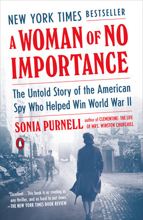 Cover of "A Woman of No Importance"