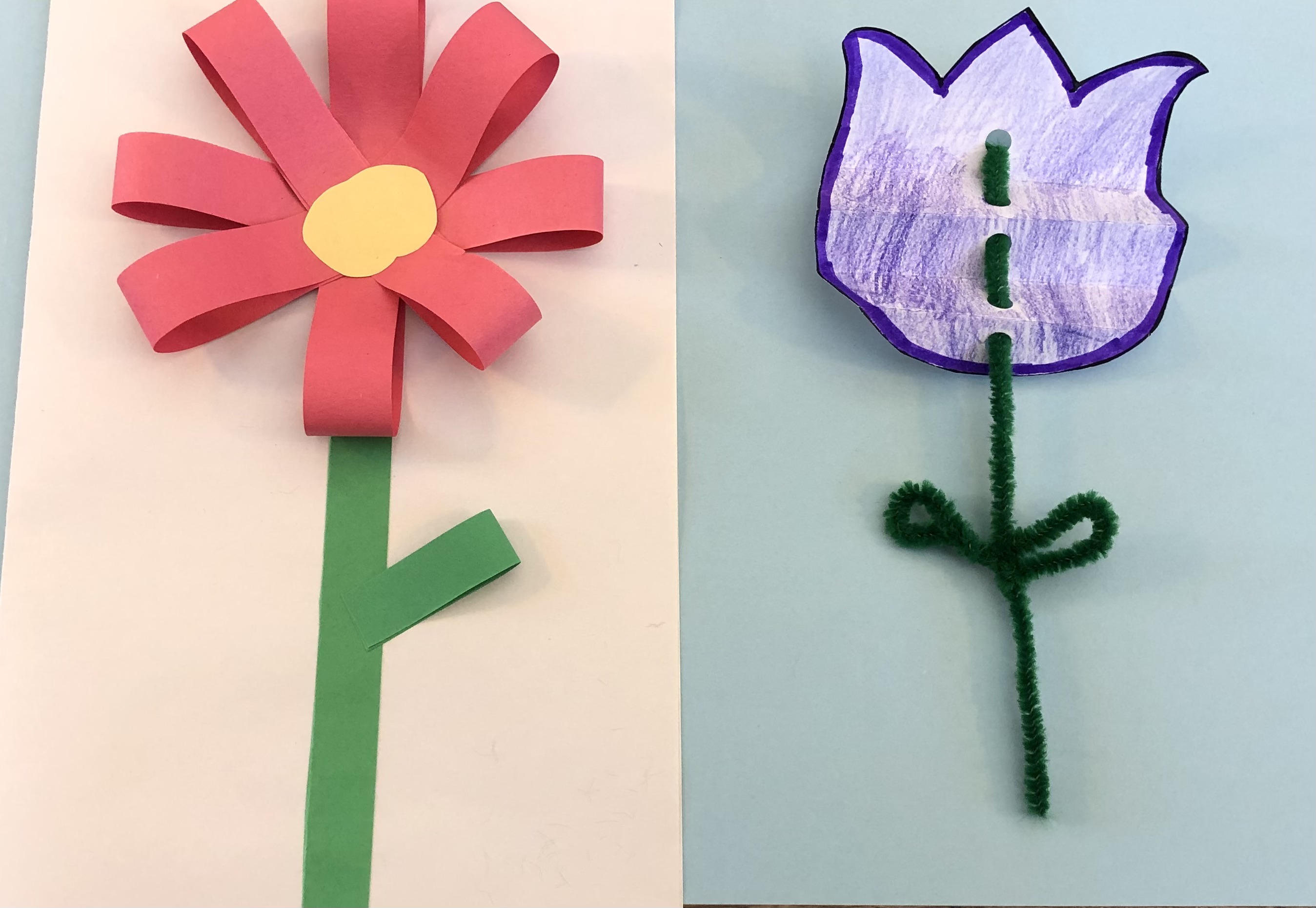 Examples of the two flower crafts, one is on the front of a card and the other is a tulip. 