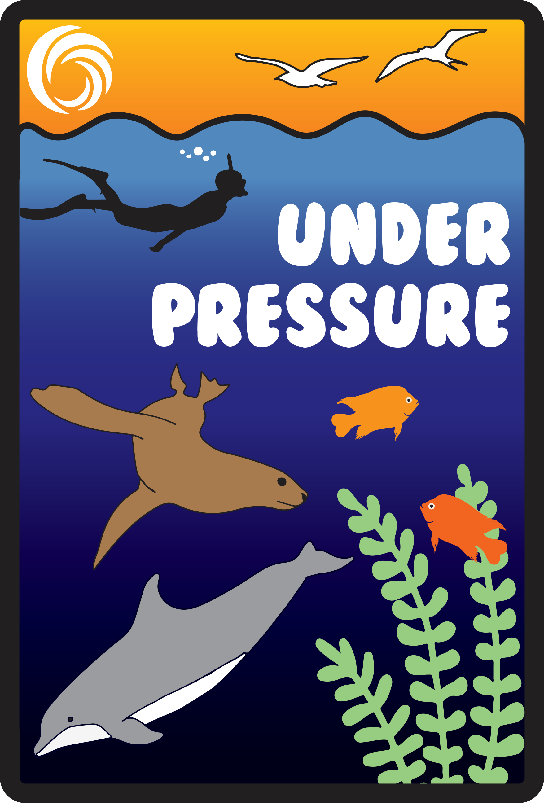 Shark, seal, fish, kelp, and snorkeler all underwater