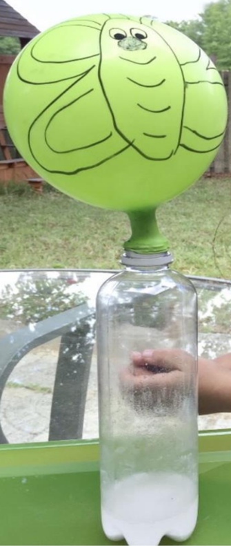 Butterfly balloon stretched over the opening of a bottle containing vinegar and baking soda