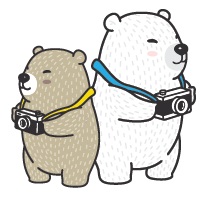 Two bears with cameras