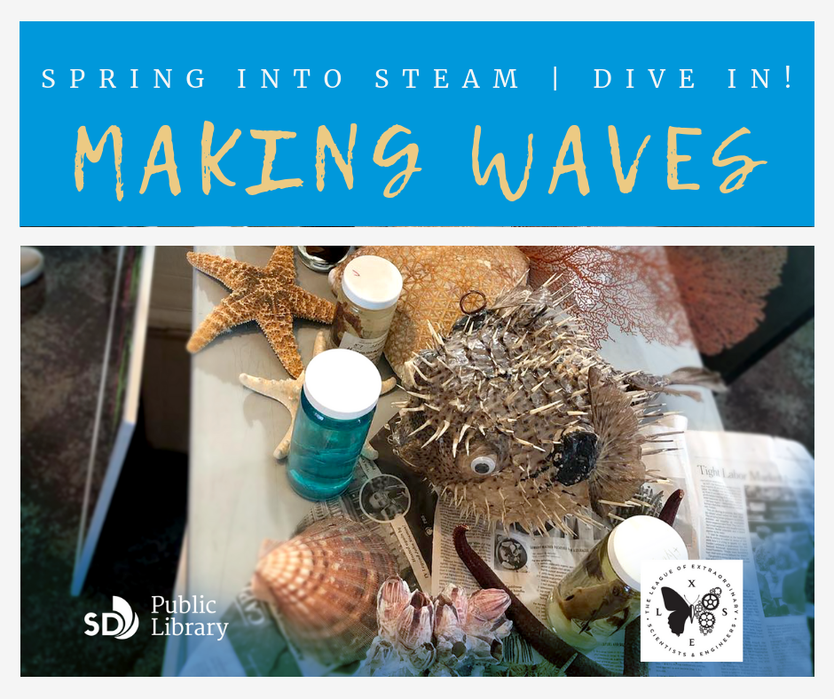 SPRING INTO STEAM DIVE IN!