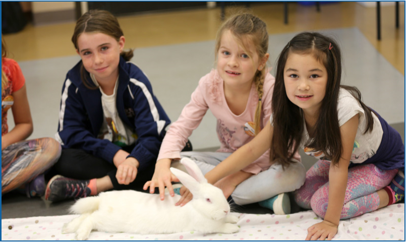 Three girls petting a rabbit