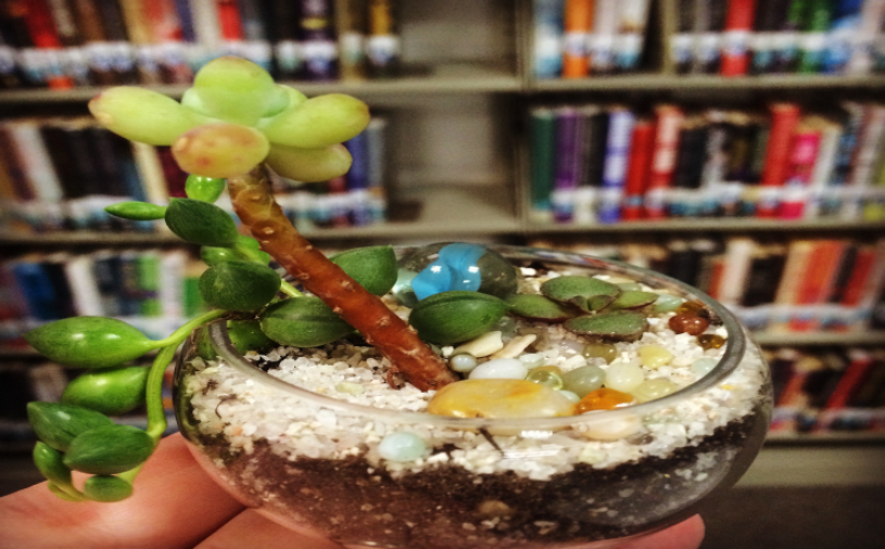 BUILD YOUR OWN TERRARIUM San Diego Public Library