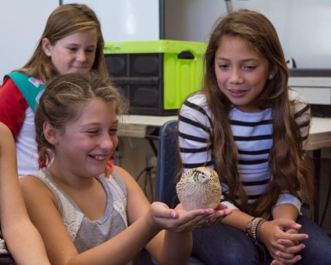 Children holding bird