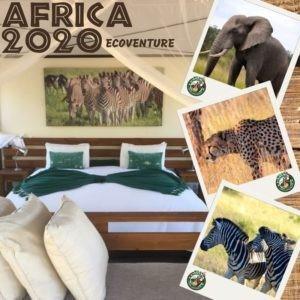 Africa animals-Zebras, cheetah, elephant