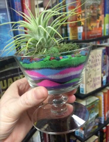 Terrarium