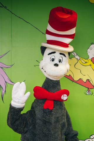 Cat in the Hat