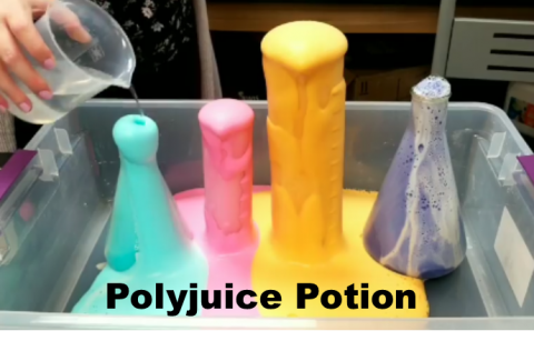 polyjuice potion