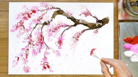 Cherry Blossoms