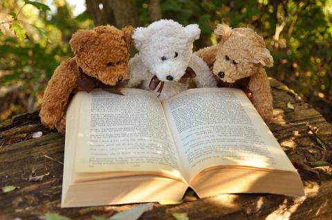 Image: Teddy Bears Reading