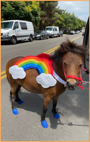 Miniature horse in a rainbow jacket.