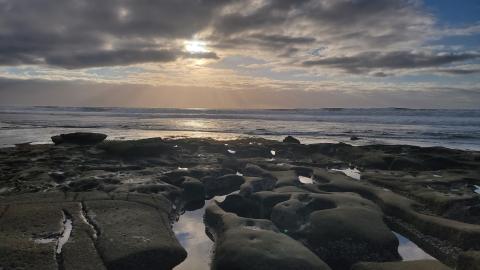 La Jolla shore