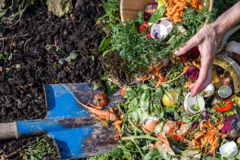 composting kitchen waste