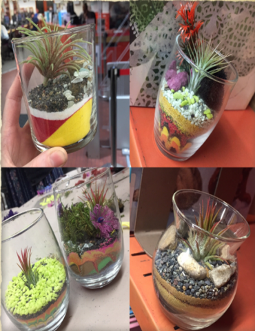 succulent green plants in class containers with white, orange, neon yellow sand. 