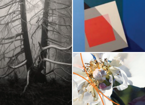 Collage of three pictures, one is black and white photo of tree branches, one is a close-up of a painting of an orchid, the other is a minimalist painting of a square.