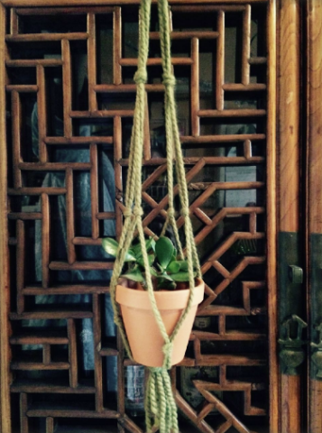 macrame plant hanger