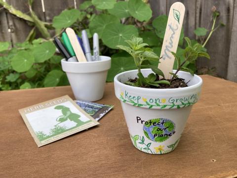 one decorated pot with herbs and one undecorated pot with art supplies