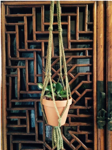 Photo of a plant hanging in a macramé plant hanger in front of a decorative wooden lattice