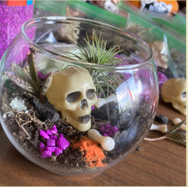 spooky terrarium