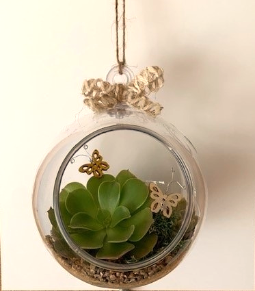 Terrarium