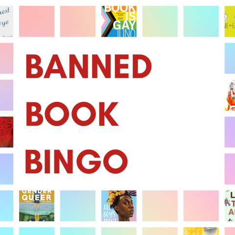 A colorful bingo board array with some book titles displayed. Center text reads: Banned Book Bingo