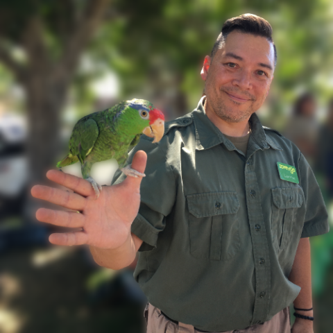 Zoovargo employee with parrot on hand
