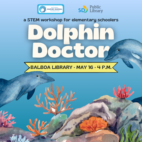 Dolphin Doctor: a stem workshop for elementary schoolers at Balboa Library May 16 at 4 p.m. Logos of National Marine Mammal Foundation and San Diego Public Library over a background image of watercolor dolphins and coral reefs.