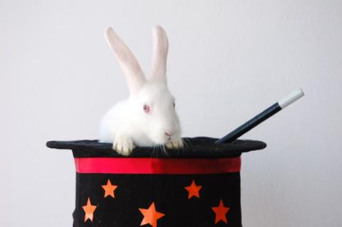 White rabbit and magician's wand sitting in a black top hat decorated with a red ribbon and orange stars.