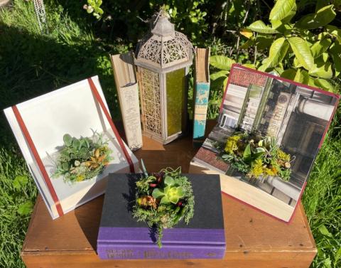Books repurposed to hold succulent plants