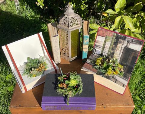 Photo of 3 succulent book gardens