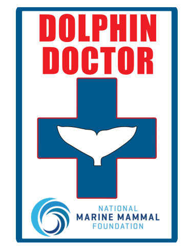 Dolphin Doctor STEM Workshop!