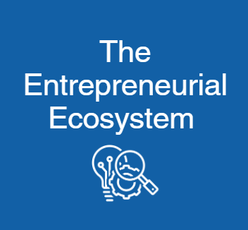 The Entrepreneurial Ecosystem is written in white on a blue background with an image of a lightbulb, gear, and magnifying glass below