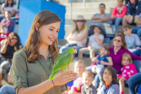 girl with brown hair and green shirt holding bright green parrot