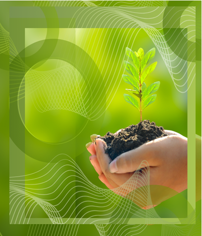 A human hand holding dirt and a sprouting plant against a green background