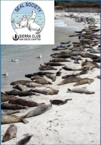 Seal Society Seals