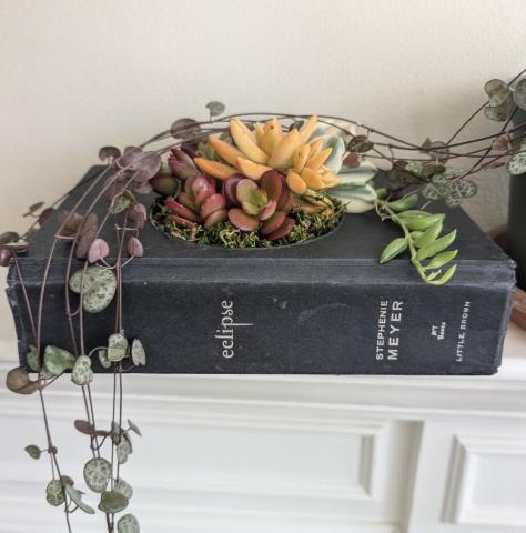 Book Planter.