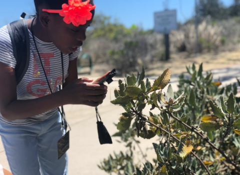 promo image of preteen with camera inspecting plants