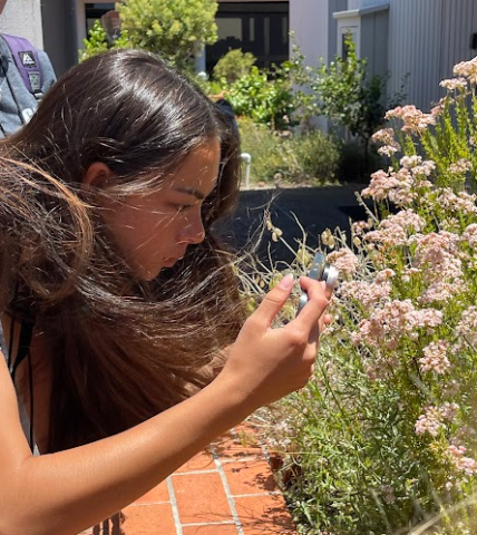 promo image of teen inspecting plants with device