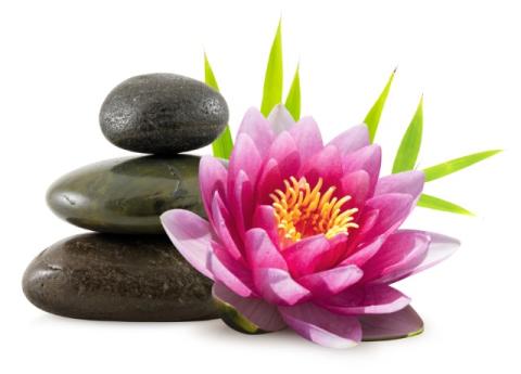 picture of three stacked rocks, a pink lotus flower and some greenery