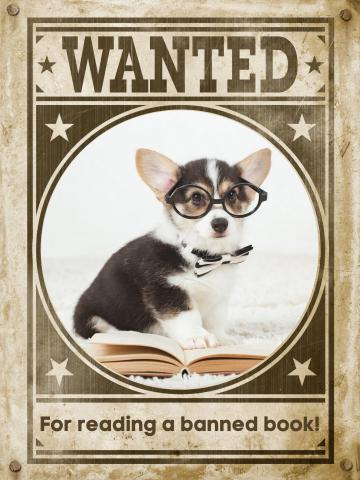 Old time wanted poster  with dog in glasses, reading a book.