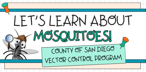 Let's learn about mosquitos banner with a cartoon mosquito insect