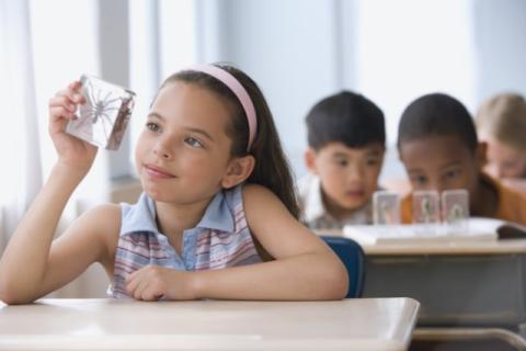 Student looking at a bug