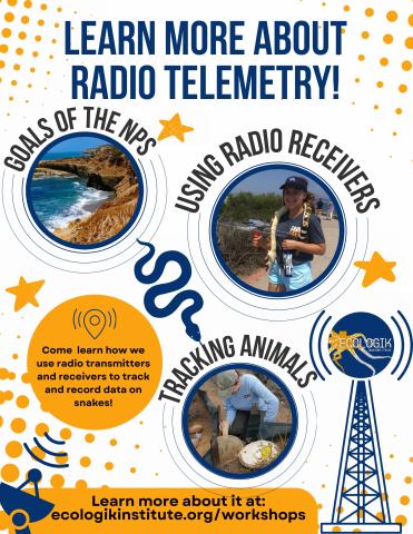 Radio Telementry